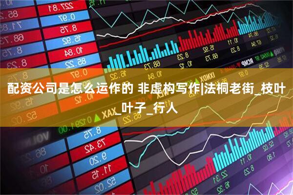 配资公司是怎么运作的 非虚构写作|法桐老街_枝叶_叶子_行人