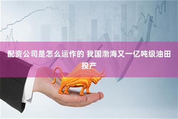 配资公司是怎么运作的 我国渤海又一亿吨级油田投产