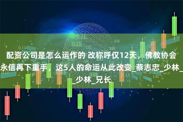 配资公司是怎么运作的 改称呼仅12天，佛教协会对释永信再下重手，这5人的命运从此改变_蔡志忠_少林_兄长
