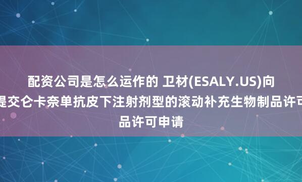 配资公司是怎么运作的 卫材(ESALY.US)向FDA提交仑卡奈单抗皮下注射剂型的滚动补充生物制品许可申请